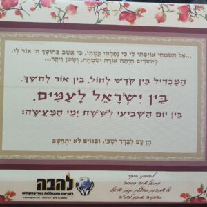 שותפות שנתית בהצלת בנות ישראל