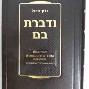 ודברת בם